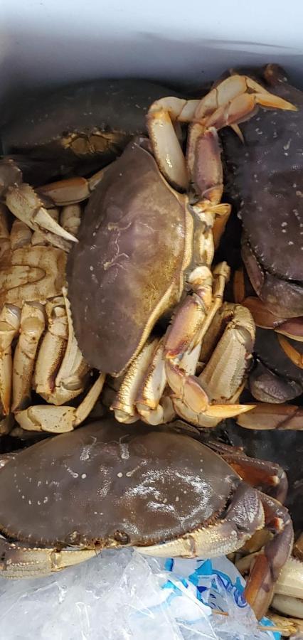 Mariners Cove Inn Westport Εξωτερικό φωτογραφία